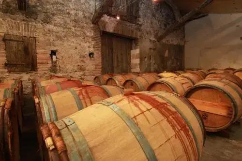 Château de Mayragues