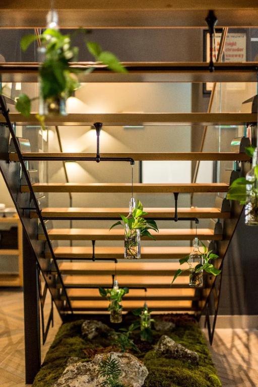фото Mava Apartamente
