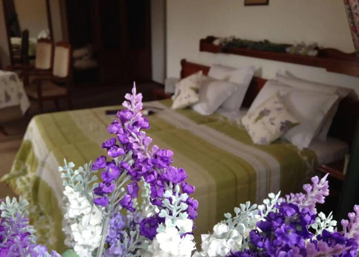 Hotel Bergblick