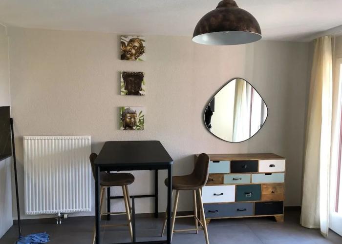Amazing Studio In Lausanne Close To Epfl and Unil