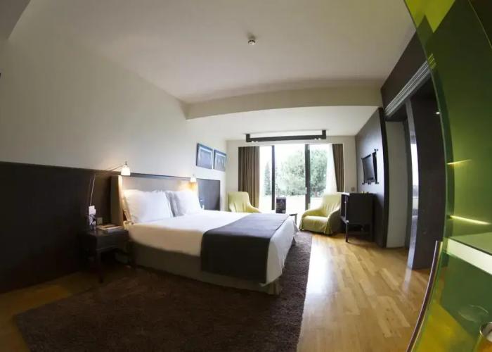 Hotel Nikopolis