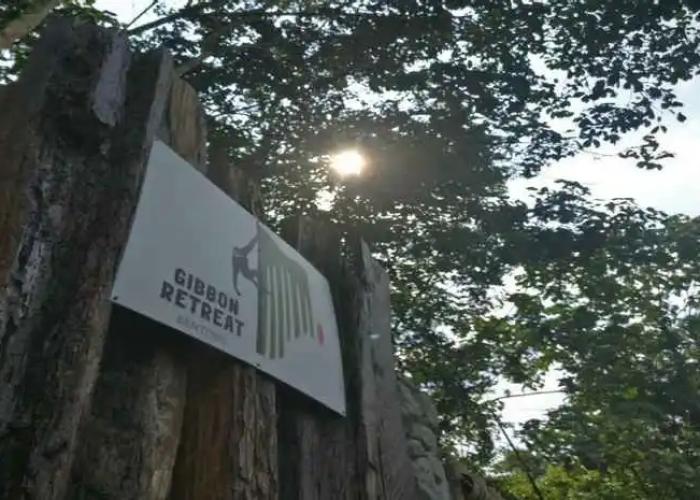 Gibbon Retreat Bentong