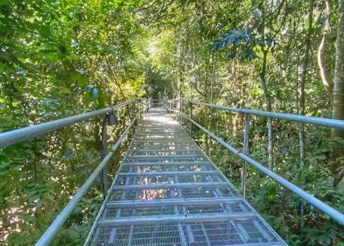 Gibbon Retreat Bentong