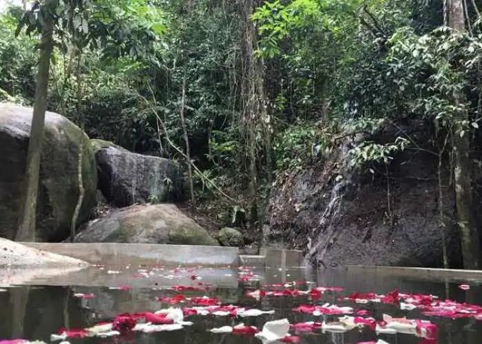 Gibbon Retreat Bentong