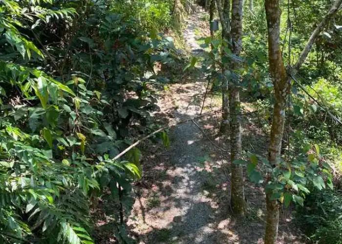 Gibbon Retreat Bentong
