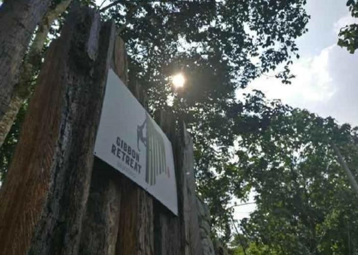 Gibbon Retreat Bentong