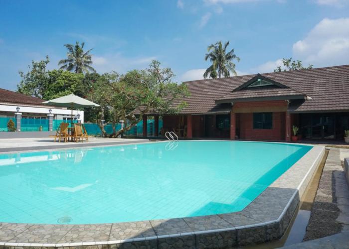 Gerbera hotel