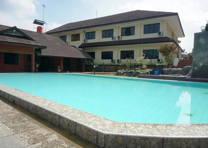 Gerbera hotel