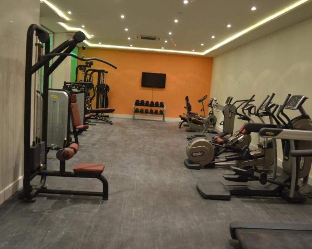 фото Golden Tulip Hail