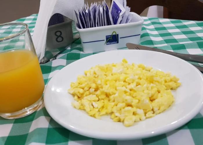 Hotel Minastur