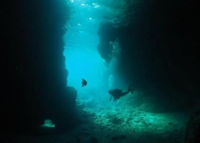 Marnix Classic Harborview Pension