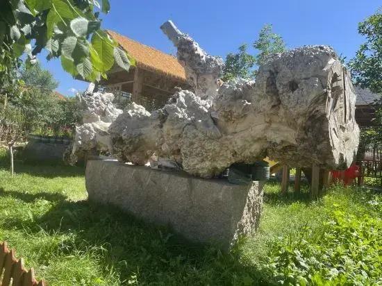 Nala Tixi Yuhuajiantang Homestay