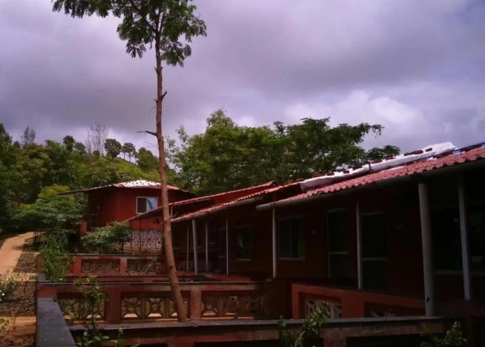 Wild Camp Resort