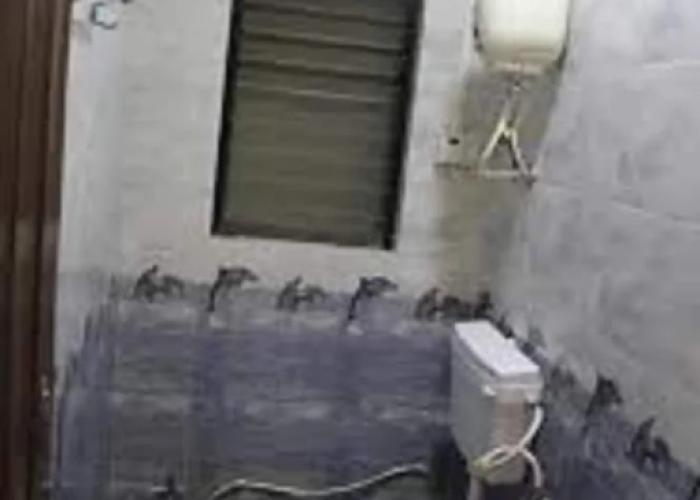 Hotel Radhika Inn