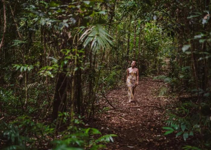 The Canopy Rainforest Treehouses and Wildlife Sanctuary