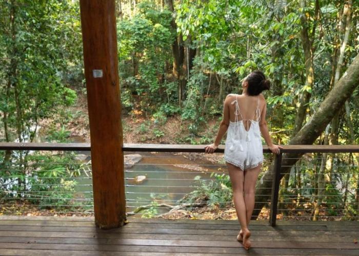 The Canopy Rainforest Treehouses and Wildlife Sanctuary