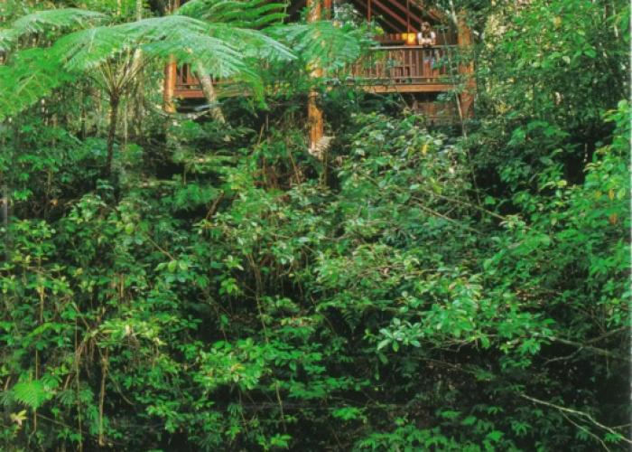 The Canopy Rainforest Treehouses and Wildlife Sanctuary