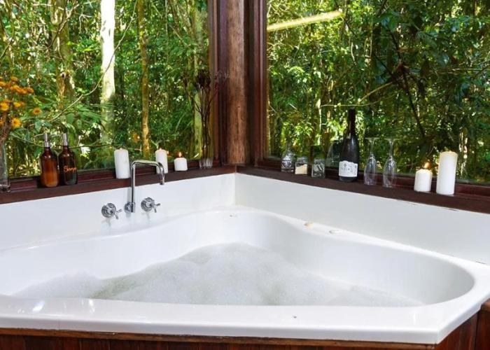The Canopy Rainforest Treehouses and Wildlife Sanctuary