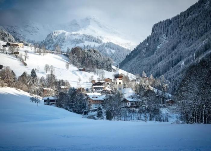 Hallerwirt Homes