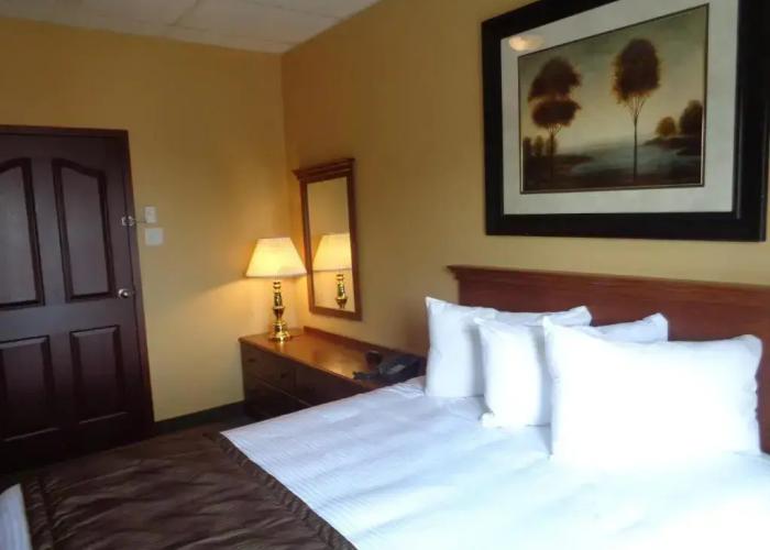 Motel Cofotel