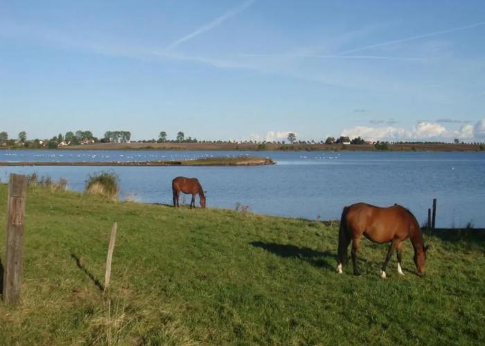Hotel Zur Seemowe