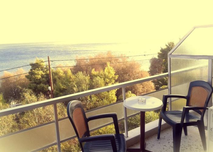 Hotel Sun