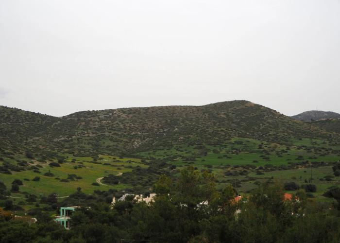 Villa Vivian