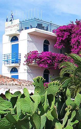 Hippocampus Hotel