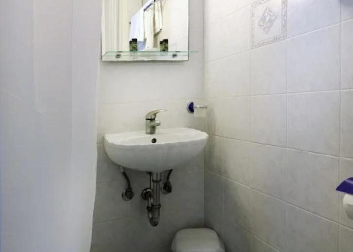 Hippocampus Hotel