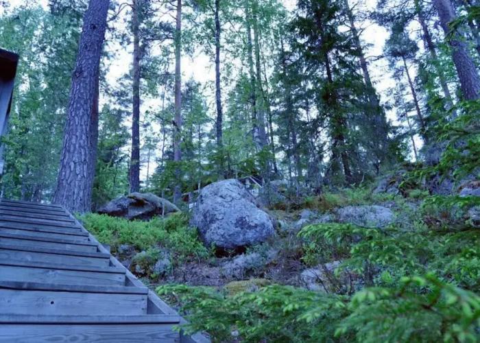 Salkolahti Tontti