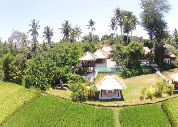 Tamu Seseh