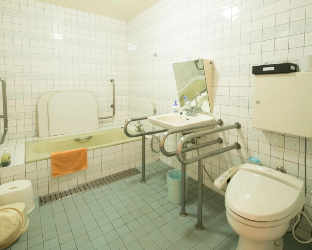 фото Yamanakako Shuzanso