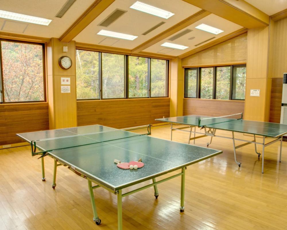 фото Yamanakako Shuzanso