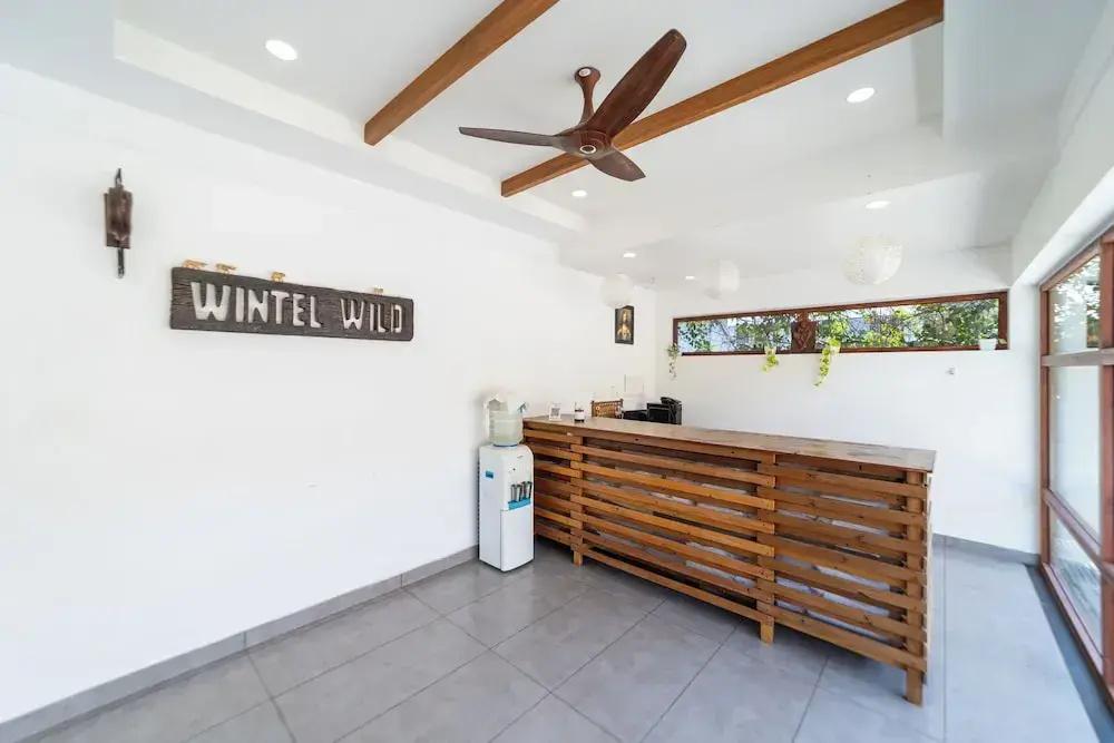 фото Wintel Wild
