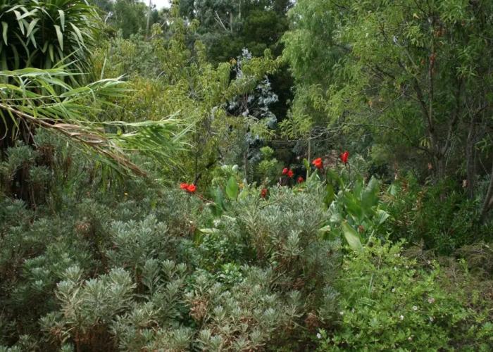 The Black Cockatoo Nannup