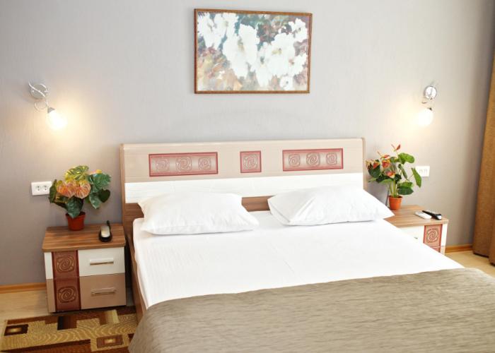 Anzas Hotel