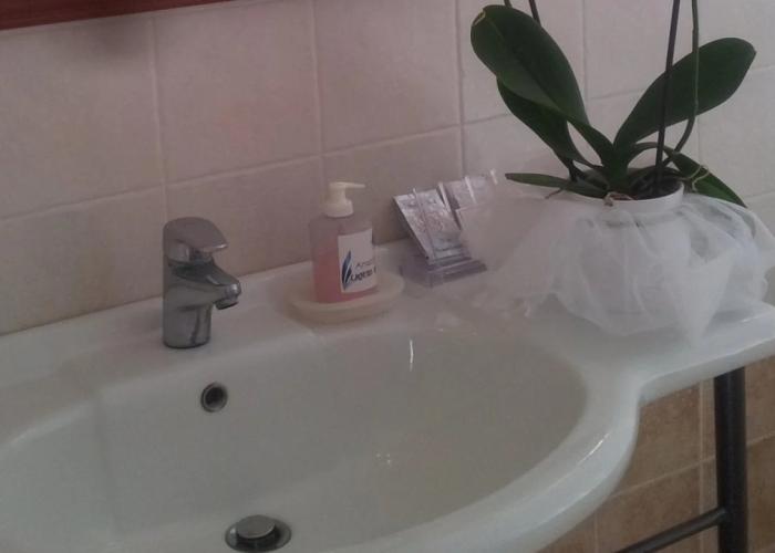 Amazones Village Suites