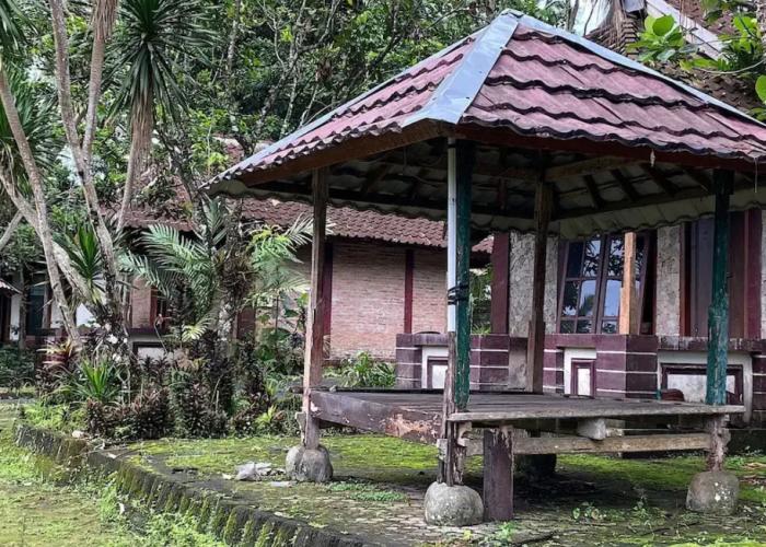 OYO 93638 Lotus Guest House