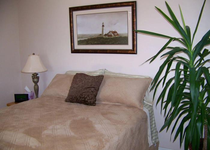 Moonlit Cove B&B