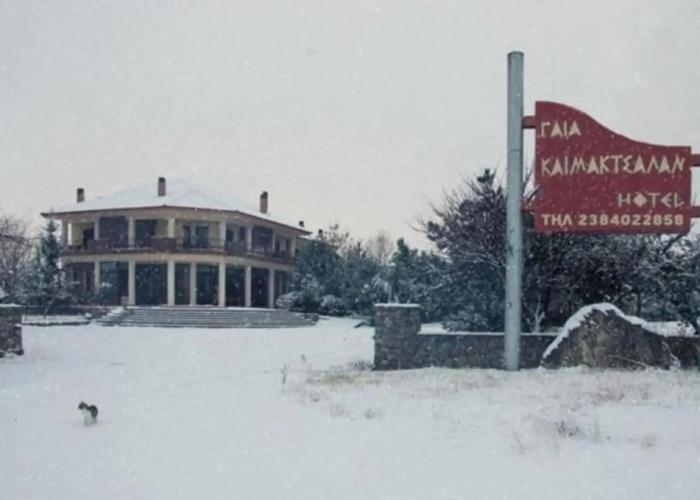 Gaia Kaimaktsalan