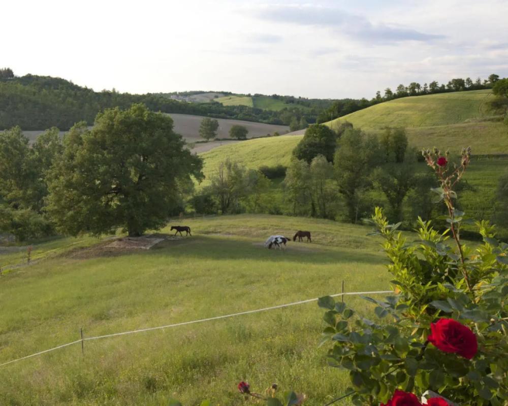 фото Resort Umbria spa