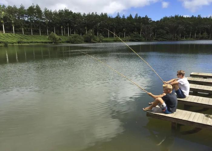 Bubble Lodge Bois Chéri