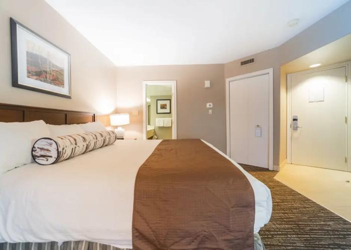 Horseshoe Valley Suites - The Azure