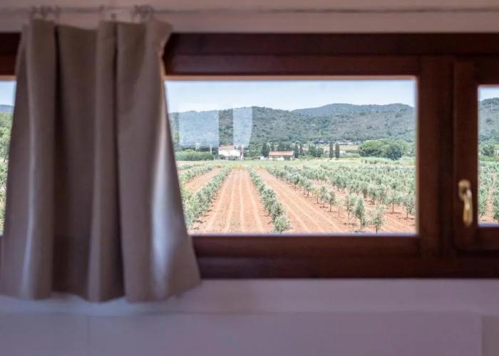 Agriturismo Terre di Castiglione