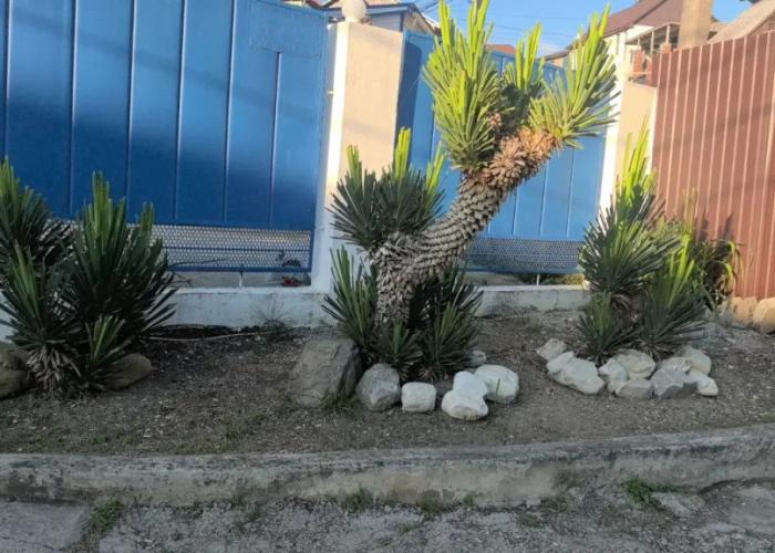 Sindi Guest House