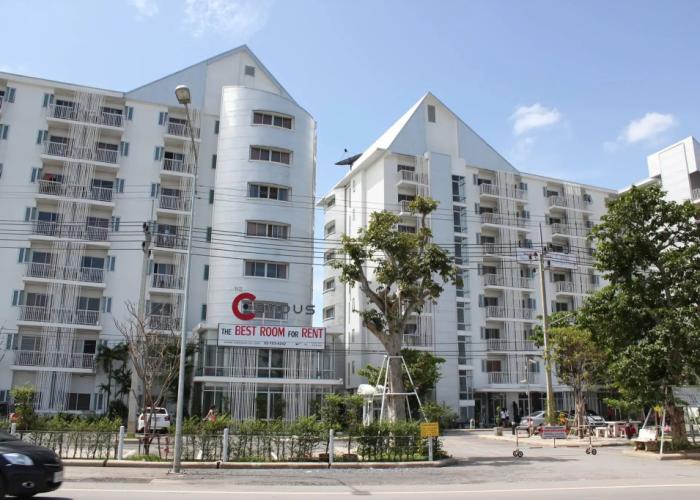 The Campus