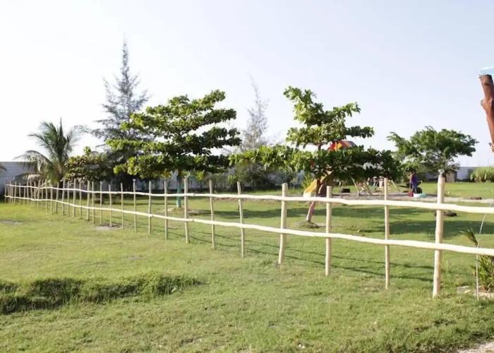 BNB Evasion