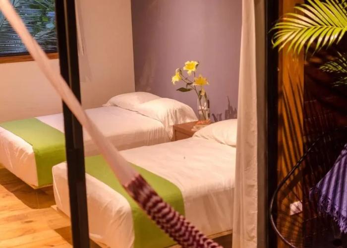 Hotel Noga