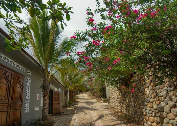 Villa Aikia Zipolite Adults Suites - Adults Only