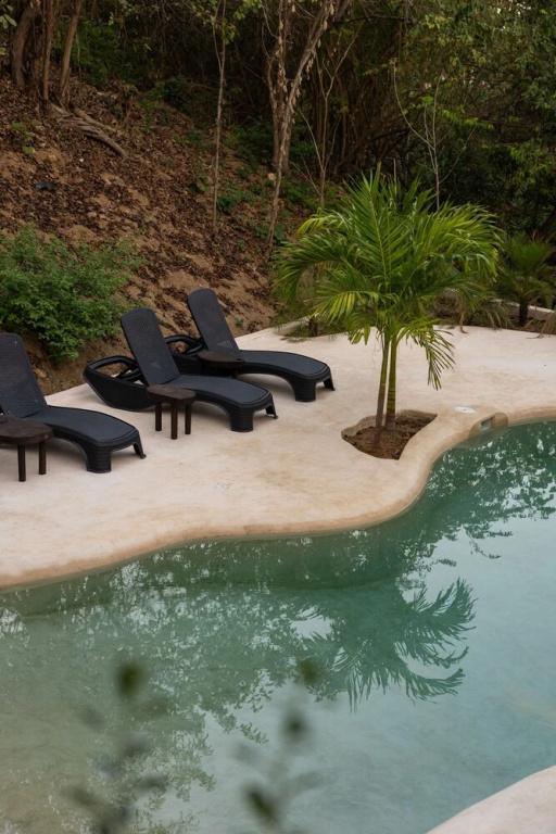 фото Cocos Hotel
